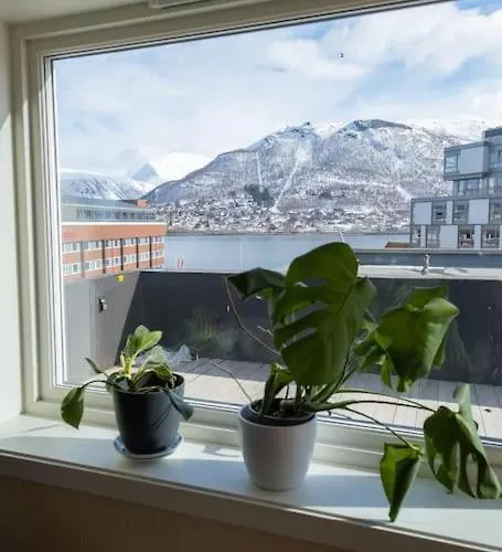 The Penthouse *