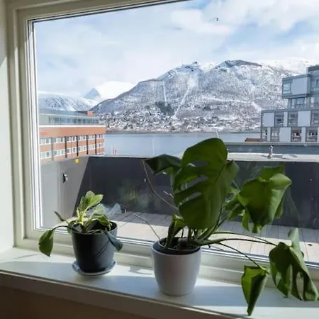 The Penthouse *